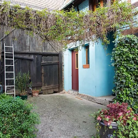 Gite - Logement Renove Dans Ferme Alsacienne Pfettisheim Buitenkant foto